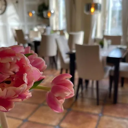 Buchwald Apartmán Boltenhagen (Ostseebad)